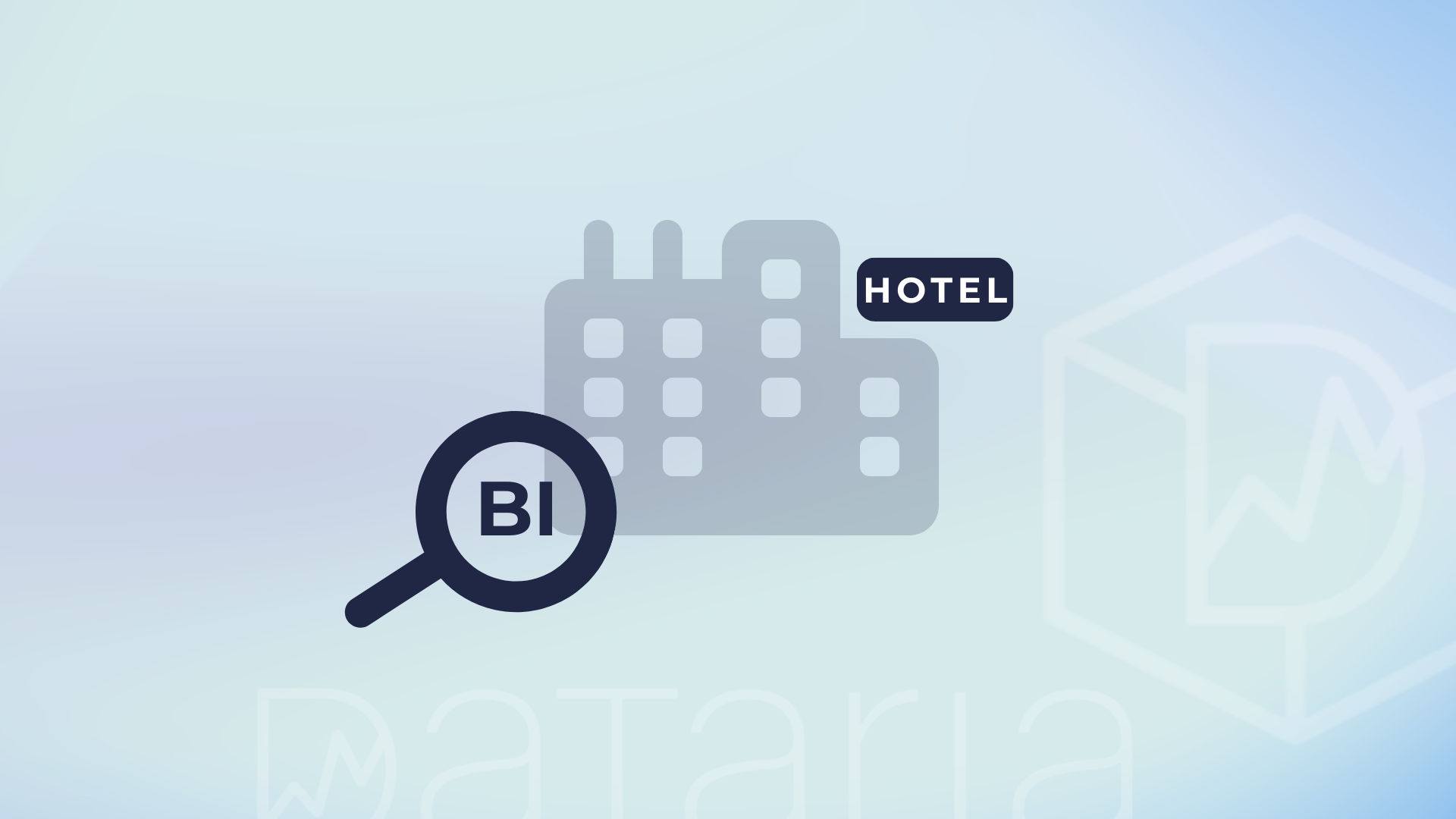 hotel bi software
